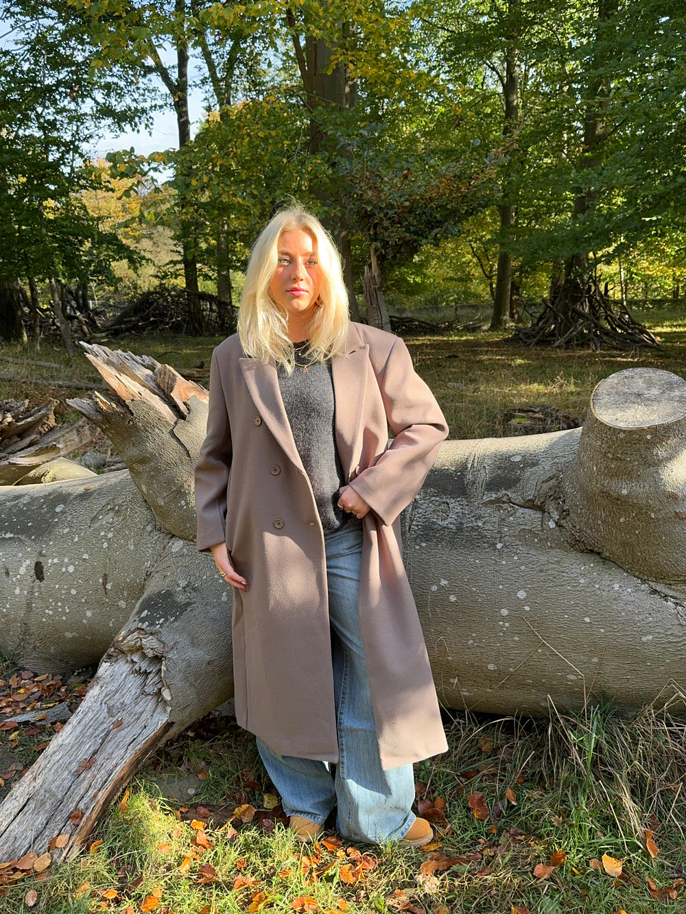 Vivia Taupe Coat