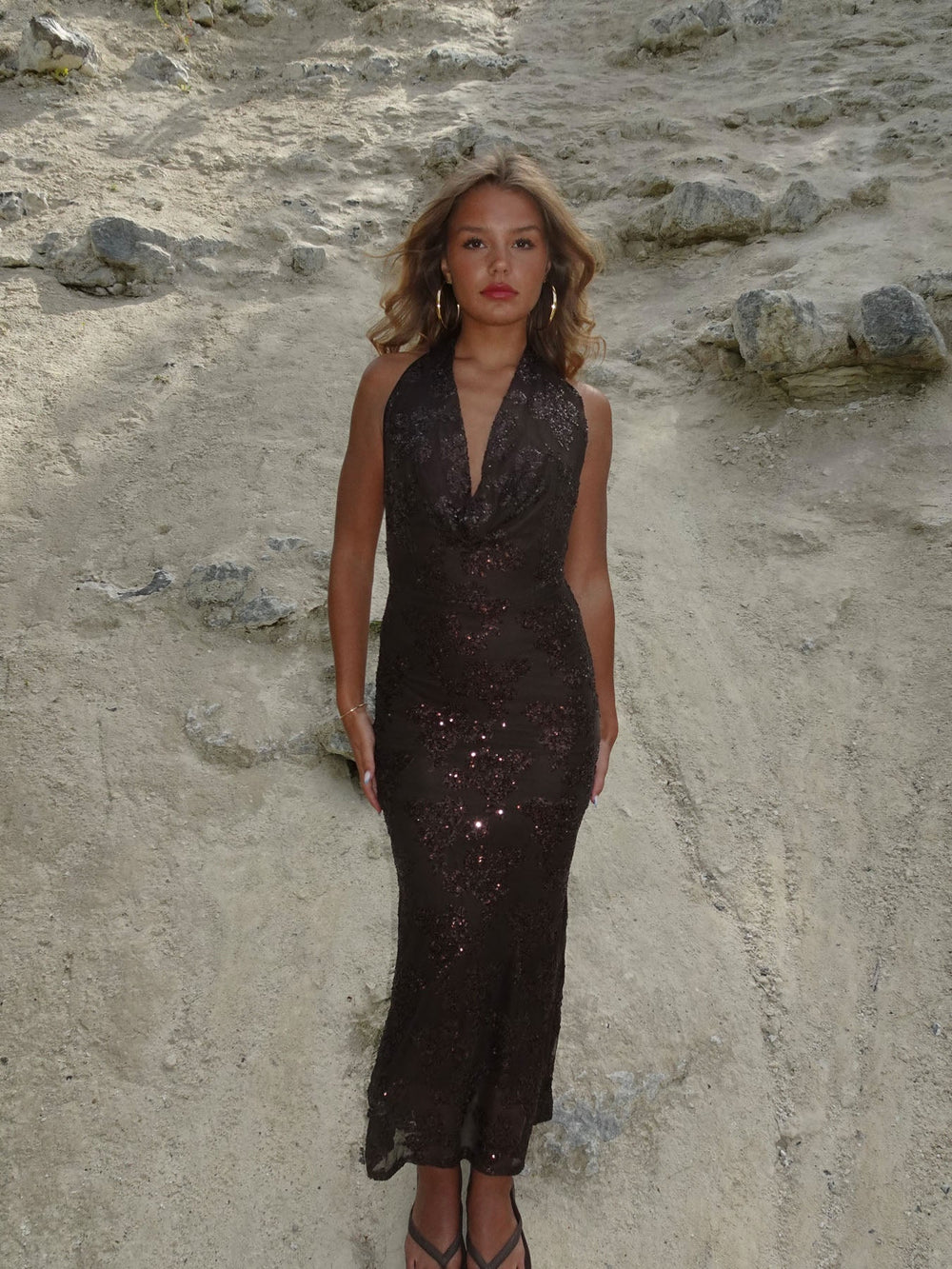 Eudora maxi dress with sequin flowers – Brown