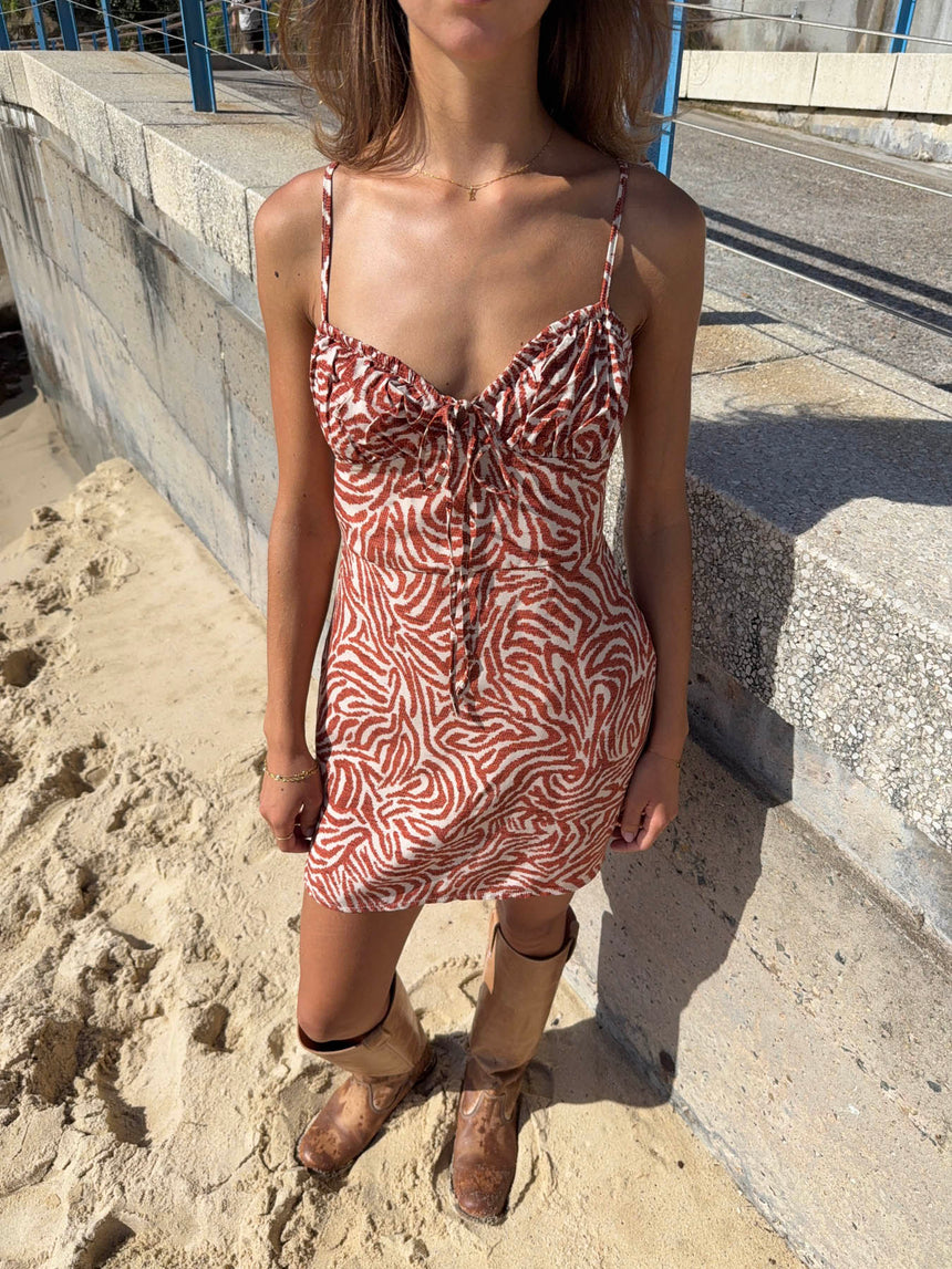 Lailina patterned mini dress - Zebra print