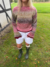 Polena knit sweater - Multicoloured